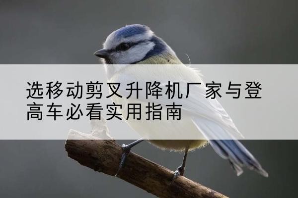 沈丘电动升降机厂家-选移动剪叉升降机厂家与登高车必看实用指南