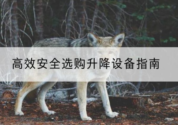 沈丘升降货梯厂家推荐-*安全选购升降设备指南