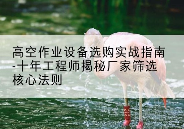 沈丘剪叉式升降机厂家-高空作业设备选购实战指南-十年工程师揭秘厂家筛选核心法则